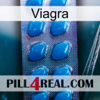 Viagra viagra1
